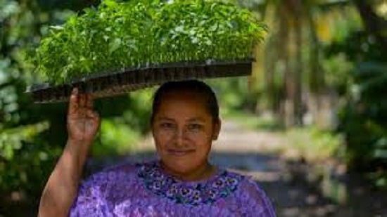 Zero Hunger: our actions today are our future tomorrow