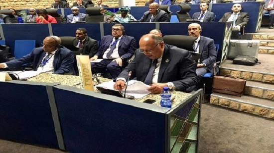 Egypts AU chairmanship underscores close ties with African countries: FM
