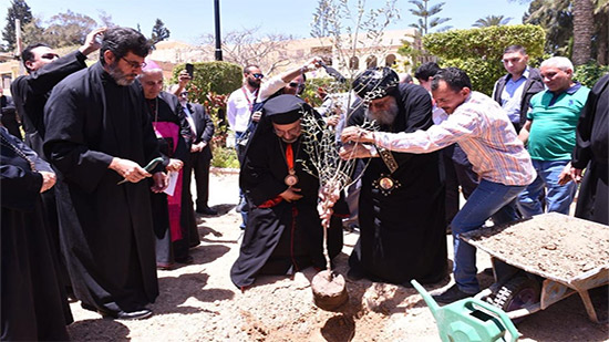 Leaders of Coptic Orthodox and Catholic Churches plant olive tree for Peace 