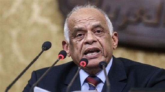 Egypts new NGO law was not result of foreign pressure says parliament speaker