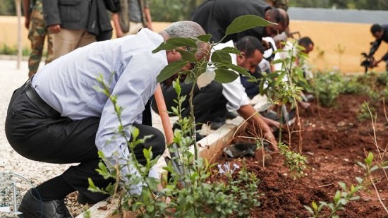 Ethiopia breaks tree planting record to tackle climate change
