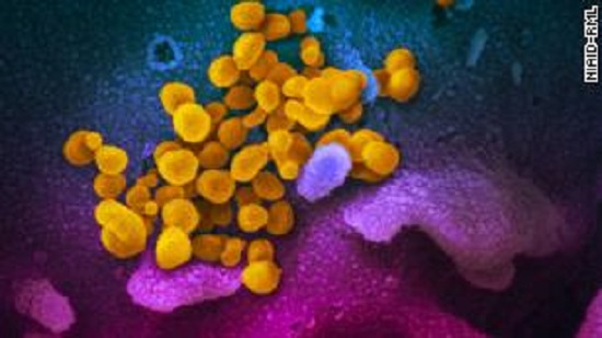 Former CDC director: Covid-19 is different from flu and we must respond differently