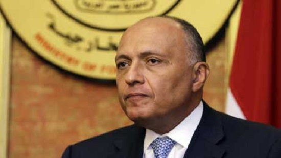 Egypts FM urges unified and firm Arab policy against Turkeys destructive practices