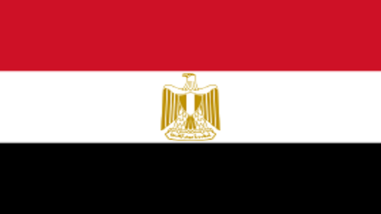 A decade of Egyptian foreign policy
