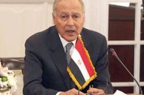 Egypt respects Tunisian people's choice 
