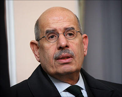ElBaradei in hometown for family visit, say campaigners	