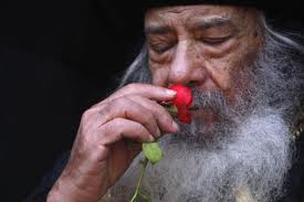 Series and documentary film for the late Pope Shenouda III