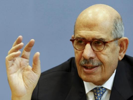 ElBaradei says political gridlock blocking recovery