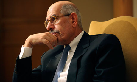 ElBaradei praises UN declaration fighting violence against women