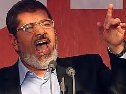 Islamist group's pro-Morsi campaign has 2 million signatures
